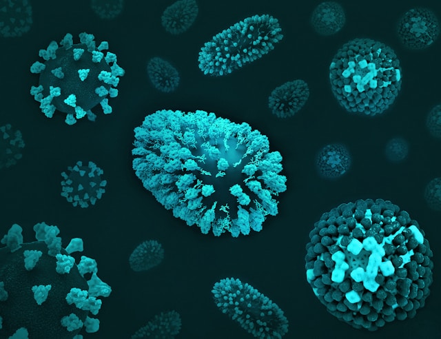 Microbiote et immunité